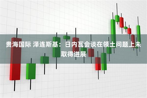 贵海国际 泽连斯基：日内瓦会谈在领土问题上未取得进展
