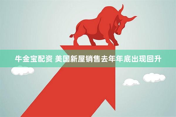 牛金宝配资 美国新屋销售去年年底出现回升