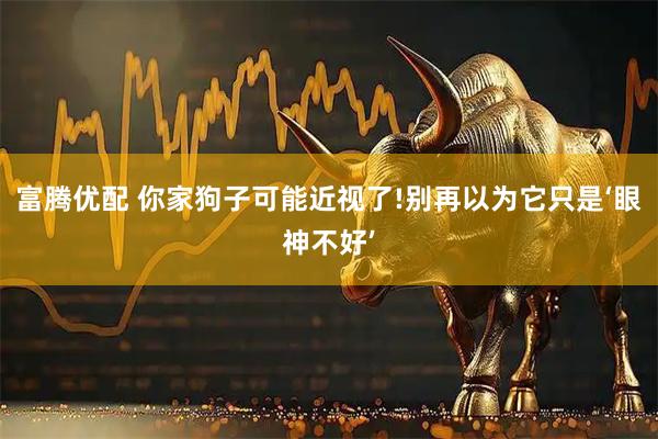 富腾优配 你家狗子可能近视了!别再以为它只是‘眼神不好’