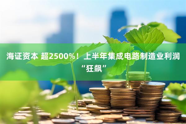 海证资本 超2500%！上半年集成电路制造业利润“狂飙”