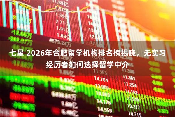 七星 2026年合肥留学机构排名榜揭晓，无实习经历者如何选择留学中介