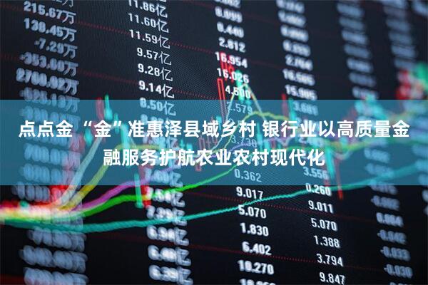 点点金 “金”准惠泽县域乡村 银行业以高质量金融服务护航农业农村现代化