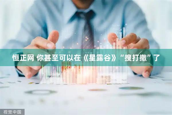 恒正网 你甚至可以在《星露谷》“搜打撤”了