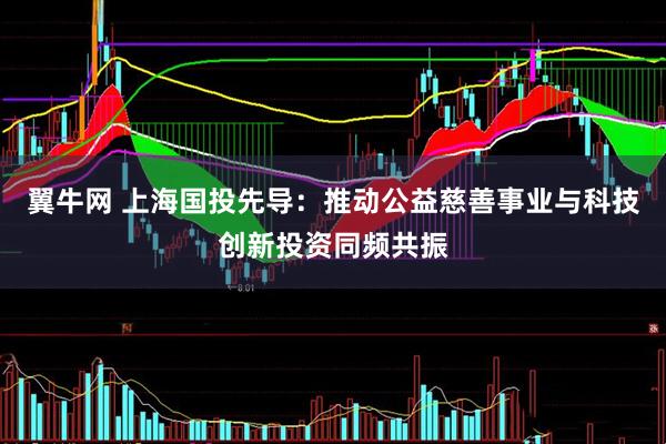 翼牛网 上海国投先导：推动公益慈善事业与科技创新投资同频共振