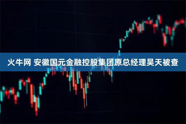 火牛网 安徽国元金融控股集团原总经理吴天被查