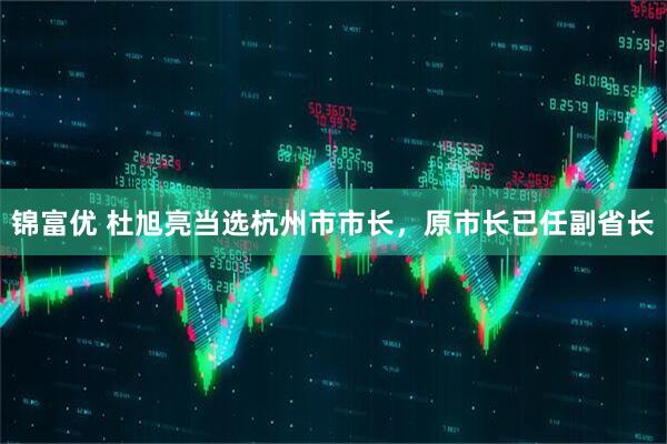 锦富优 杜旭亮当选杭州市市长，原市长已任副省长