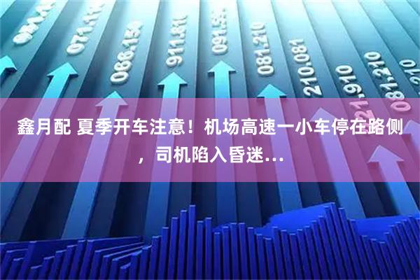 鑫月配 夏季开车注意！机场高速一小车停在路侧，司机陷入昏迷…