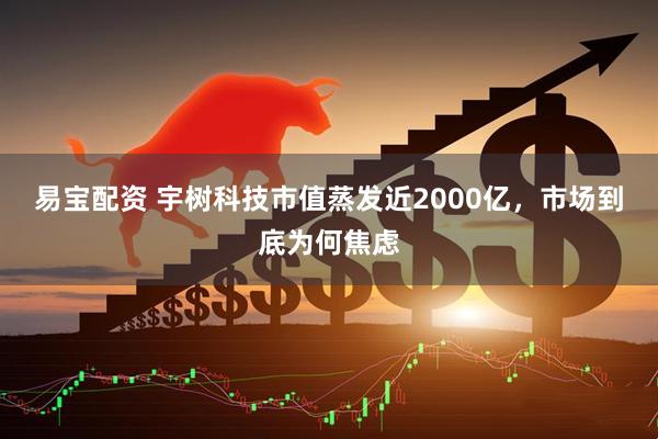 易宝配资 宇树科技市值蒸发近2000亿，市场到底为何焦虑