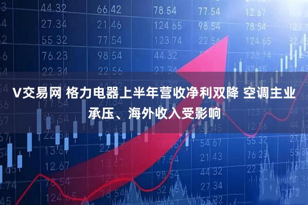 V交易网 格力电器上半年营收净利双降 空调主业承压、海外收入受影响